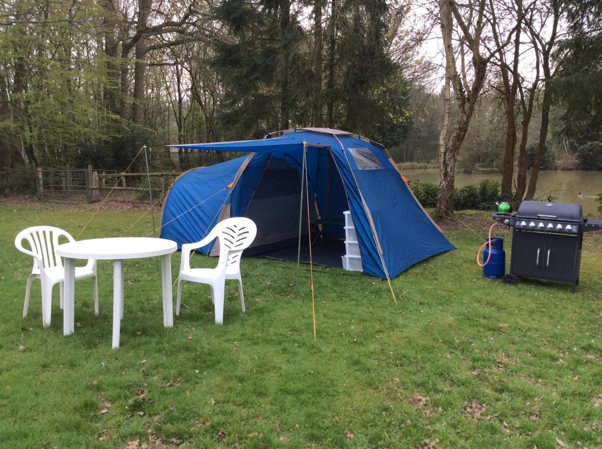 The Firs Lodge Ashford (Kent)