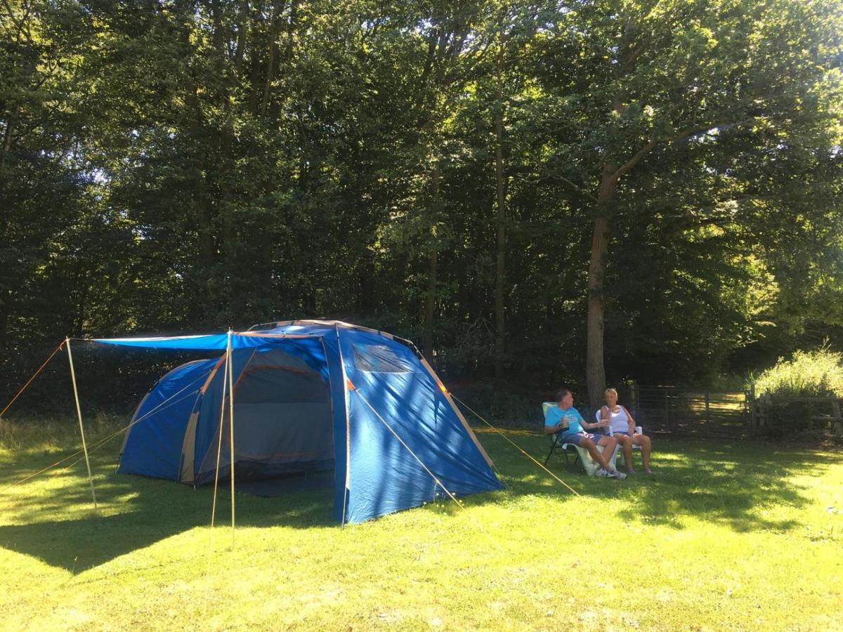 The Firs Ashford (Kent)